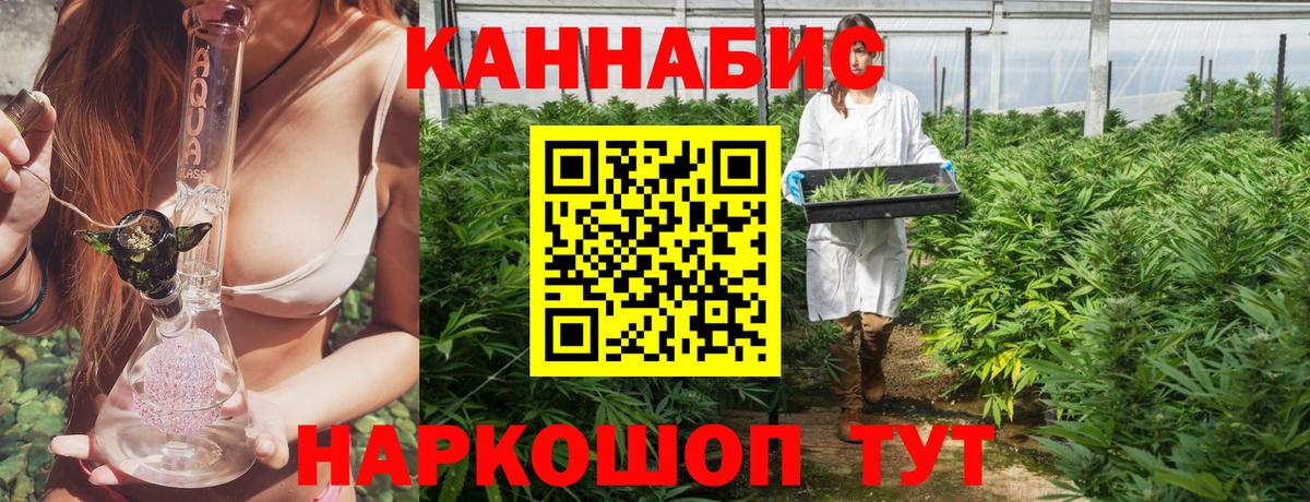 Шишки марихуана ГИДРОПОН Россия